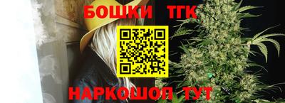 индика Бийск