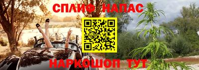 индика Бийск