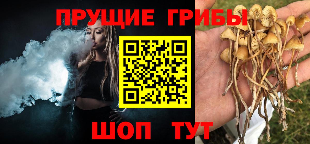 Озёры  Галлюциногенные грибы ЛСД  Вход с VPN 